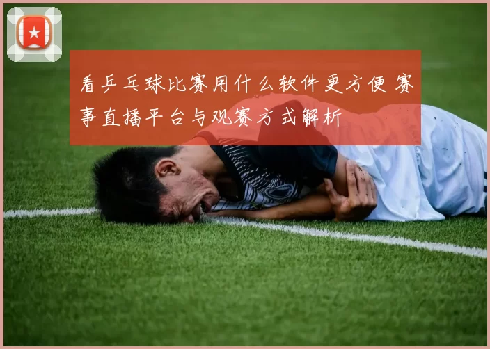 看乒乓球比赛用什么软件更方便 赛事直播平台与观赛方式解析