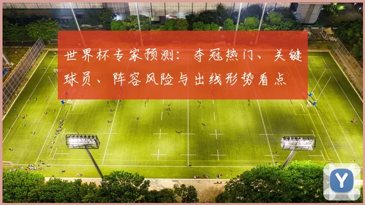 世界杯专家预测：夺冠热门、关键球员、阵容风险与出线形势看点
