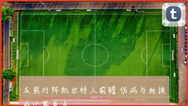 灰熊对阵凯尔特人前瞻 伤病与轮换成比赛看点