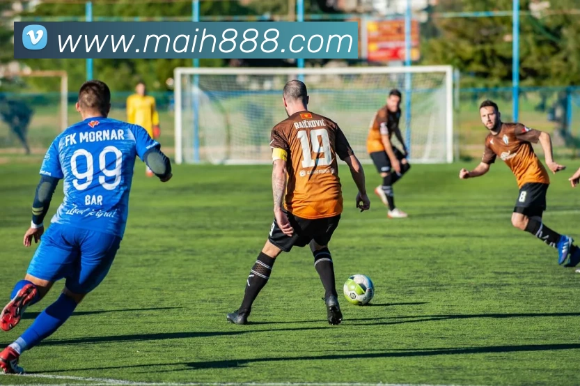 bat·365(中文)官方网站 - 登录入口平台生态图